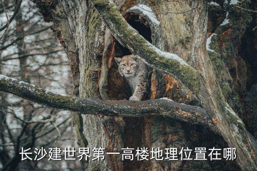 長沙建世界第一高樓地理位置在哪
