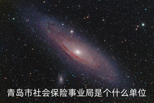 青島市社會保險事業(yè)局是個什么單位