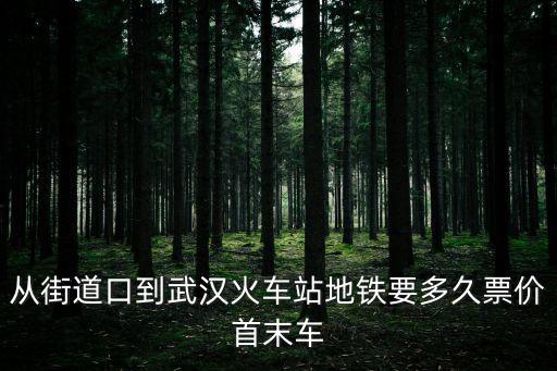 從街道口到武漢火車站地鐵要多久票價首末車