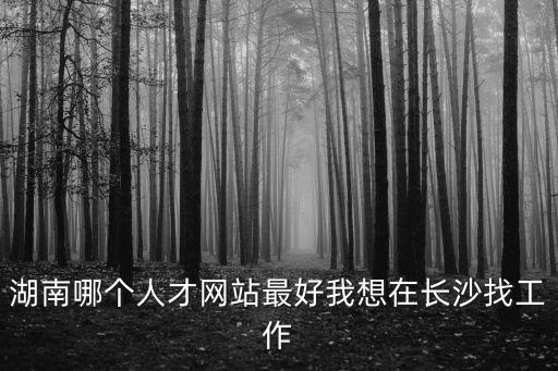 湖南哪個人才網(wǎng)站最好我想在長沙找工作
