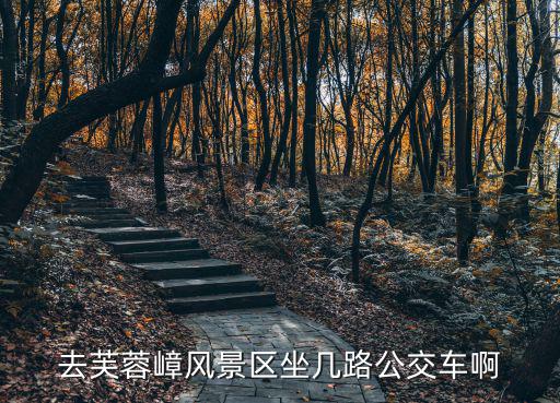 花都芙蓉嶂風景區，花都芙蓉嶂問題