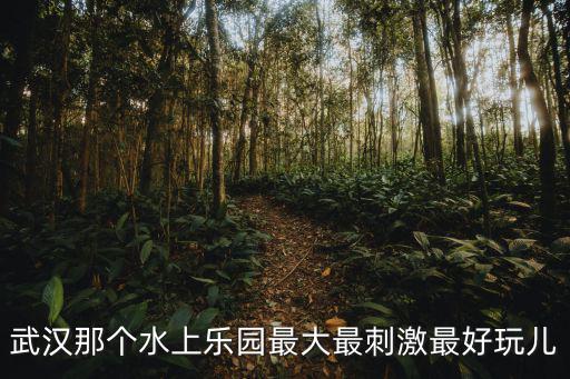 武漢那個水上樂園最大最刺激最好玩兒