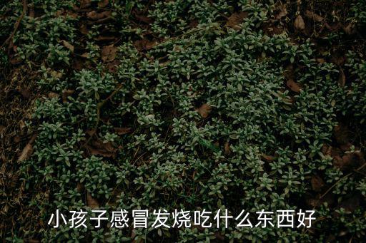 小孩子感冒發燒吃什么東西好