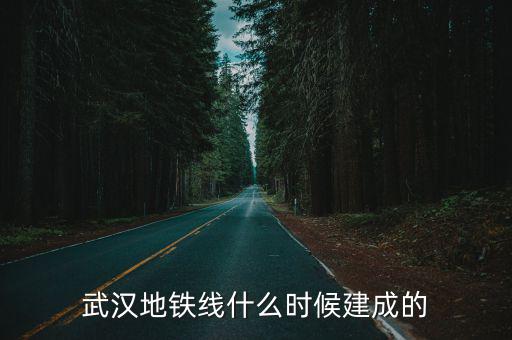 武漢地鐵線什么時候建成的