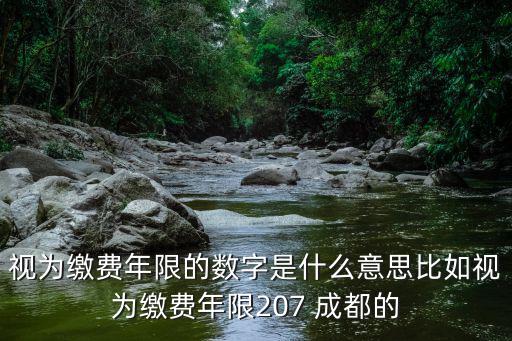 視為繳費(fèi)年限的數(shù)字是什么意思比如視為繳費(fèi)年限207 成都的