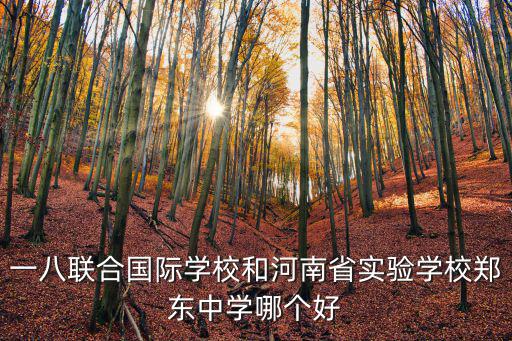 一八聯合國際學校，一八聯合國際學校和河南省實驗學校鄭東中學哪個好