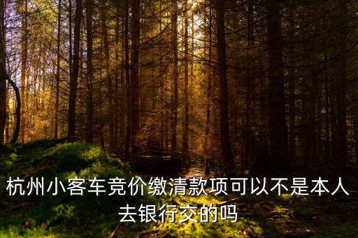 杭州小客車競價繳清款項可以不是本人去銀行交的嗎
