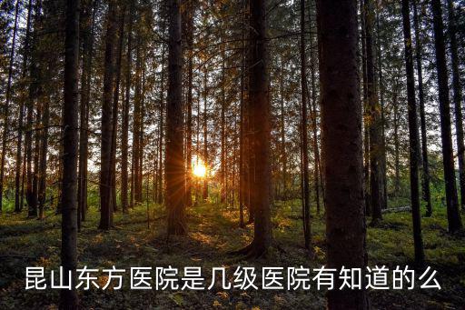 昆山東方醫院，昆山有沒有東方醫院