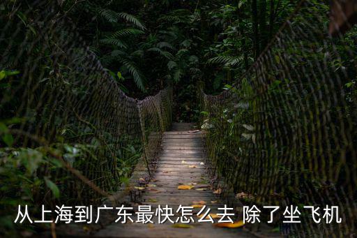 從上海到廣東最快怎么去 除了坐飛機