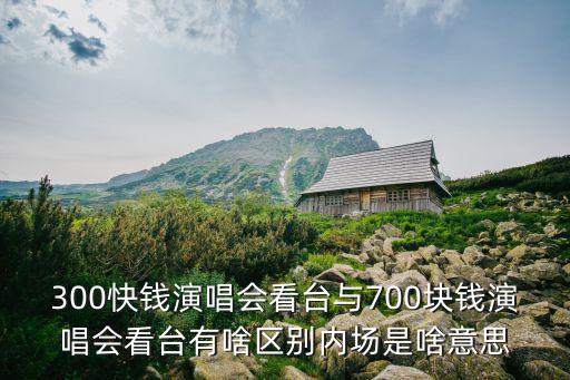 300快錢演唱會看臺與700塊錢演唱會看臺有啥區別內場是啥意思