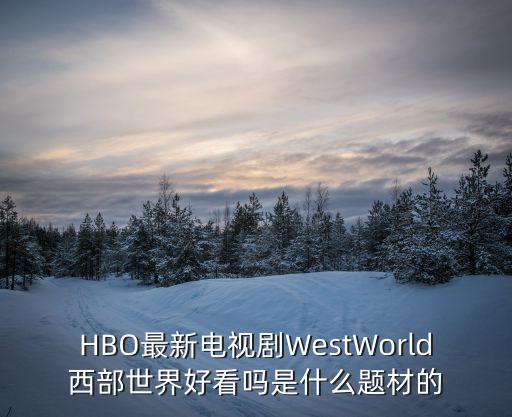HBO最新電視劇WestWorld西部世界好看嗎是什么題材的