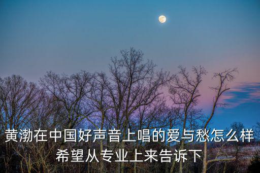 黃渤在中國好聲音上唱的愛與愁怎么樣希望從專業上來告訴下