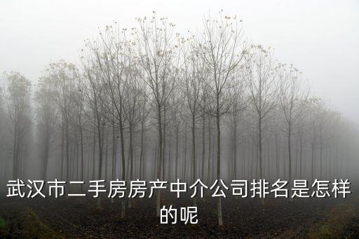 武漢房產(chǎn)中介，武漢江漢路附近的房屋中介公司