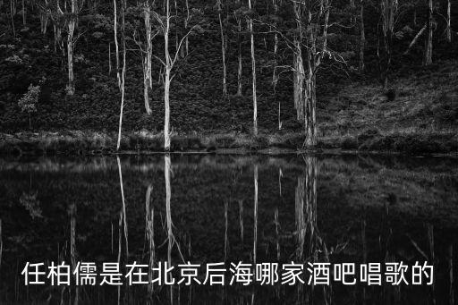 任柏儒是在北京后海哪家酒吧唱歌的