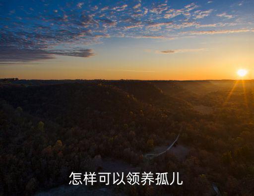 怎樣可以領養孤兒