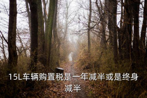 15L車輛購置稅是一年減半或是終身減半