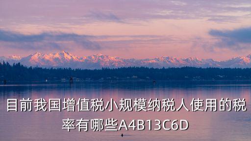 目前我國增值稅小規模納稅人使用的稅率有哪些A4B13C6D