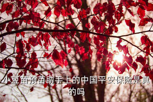 小豆苗預苗助手上的中國平安保險是真的嗎