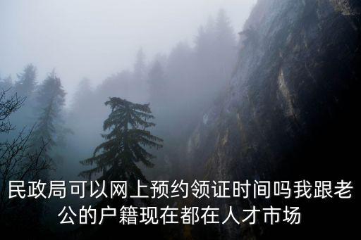 民政局可以網上預約領證時間嗎我跟老公的戶籍現在都在人才市場