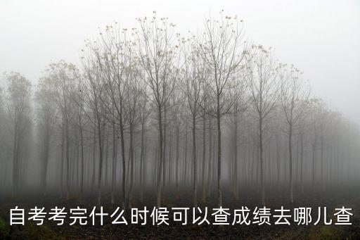自考考完什么時候可以查成績去哪兒查