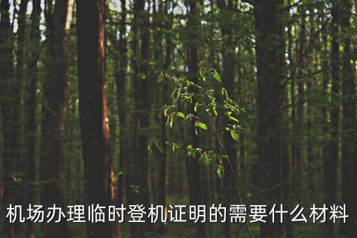 機場辦理臨時登機證明的需要什么材料