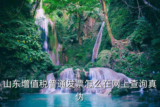 山東增值稅普通發票怎么在網上查詢真偽