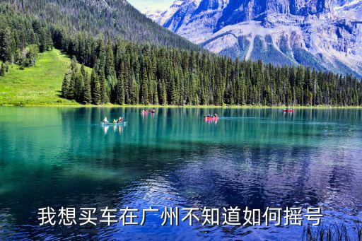 廣州小車搖號申請官網，廣州有多少公司申請搖號