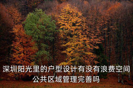 深圳陽光里的戶型設計有沒有浪費空間公共區域管理完善嗎