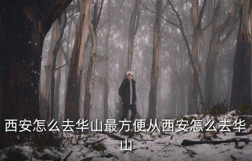 西安到華山，從西安到華山景區旅游怎么走