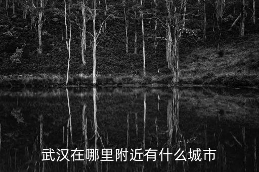 武漢在哪里附近有什么城市