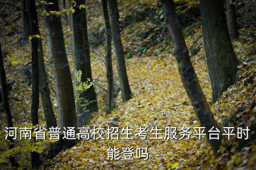 河南省普通高校招生考生服務(wù)平臺(tái)平時(shí)能登嗎
