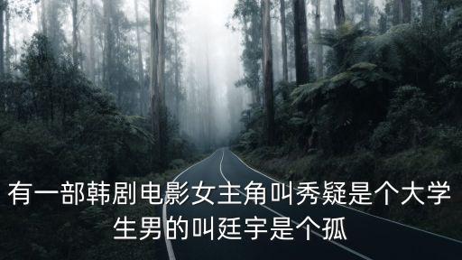 有一部韓劇電影女主角叫秀疑是個大學生男的叫廷宇是個孤