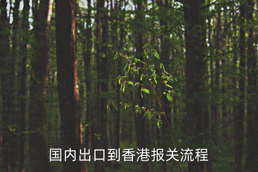國內(nèi)出口到香港報(bào)關(guān)流程