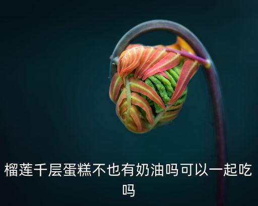千層榴蓮蛋糕，Hibake家的榴蓮千層蛋糕和芒果千層蛋糕哪種好吃有吃過的親們說一