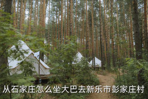 從石家莊怎么坐大巴去新樂市彭家莊村