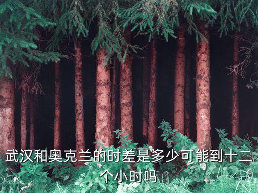 武漢和奧克蘭的時差是多少可能到十二個小時嗎