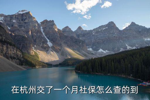 在杭州交了一個月社保怎么查的到