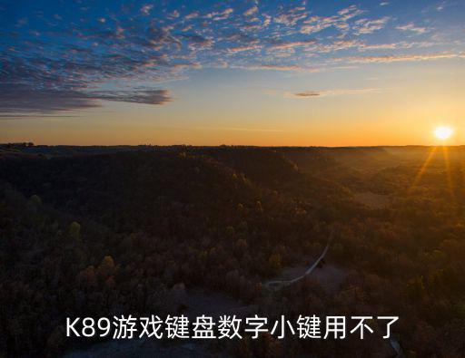 K89游戲鍵盤數字小鍵用不了