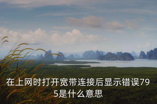 在上網時打開寬帶連接后顯示錯誤795是什么意思