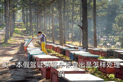 買一本假駕證來駕車被查出是怎樣處理的