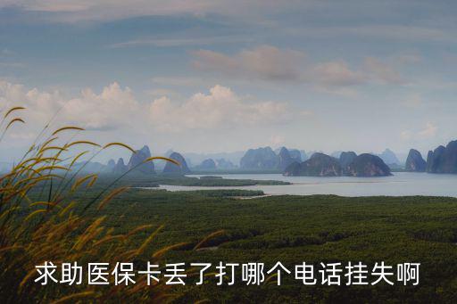 社保卡掛失電話，求助醫(yī)保卡丟了打哪個(gè)電話掛失啊