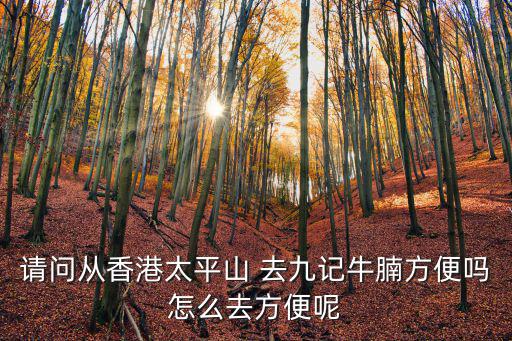 請問從香港太平山 去九記牛腩方便嗎怎么去方便呢