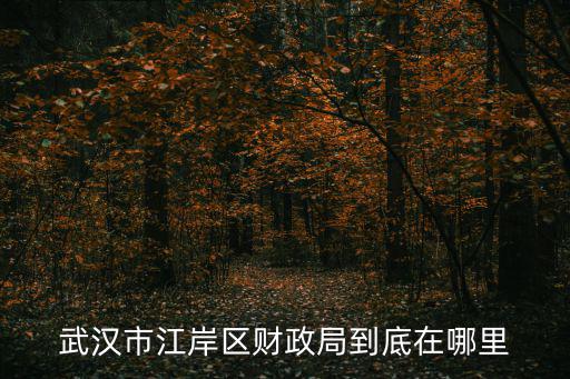 武漢市財政局，武漢南京路73號是財政局么具體在哪啊
