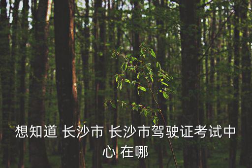 想知道 長沙市 長沙市駕駛證考試中心 在哪