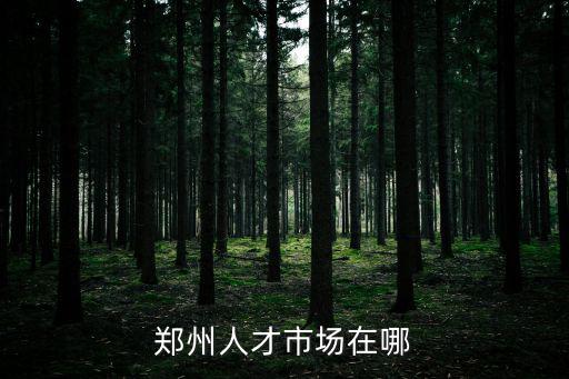 鄭州人才市場，鄭州都有哪幾個人才市場啊