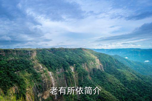 老有所依簡介
