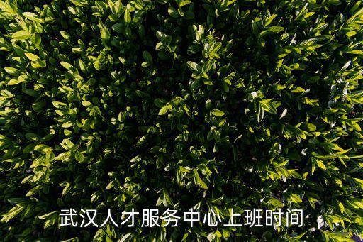 武漢人才服務中心上班時間