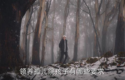 領(lǐng)養(yǎng)孤兒院孩子有哪些要求