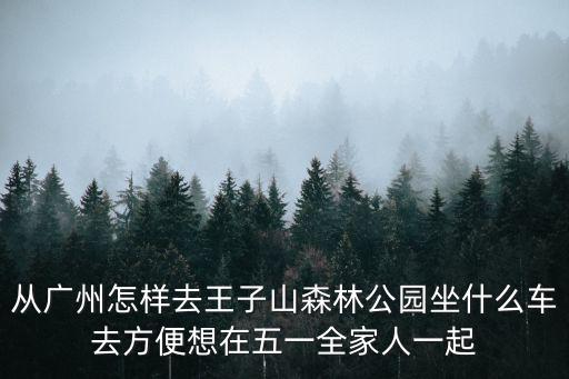 從廣州怎樣去王子山森林公園坐什么車(chē)去方便想在五一全家人一起