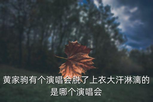 黃家駒有個(gè)演唱會(huì)脫了上衣大汗淋漓的是哪個(gè)演唱會(huì)